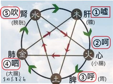 六字氣訣|養生｜六字真訣｜呼，吹，噓，呵，嘻，呬正確讀